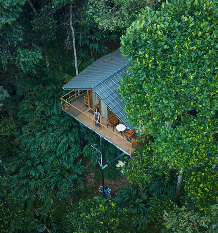 Nature Escapes